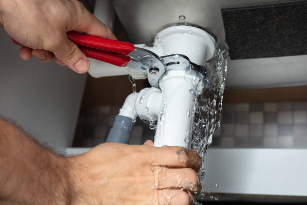 Best Mold removal after water damage  in Butler, GA