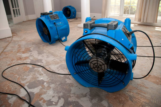 Best Water damage restoration near me  in Butler, GA
