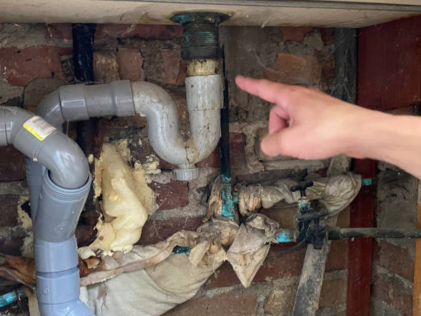 Best Sewage cleanup and water damage restoration  in Butler, GA