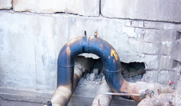 Best Ceiling water damage repair  in Butler, GA