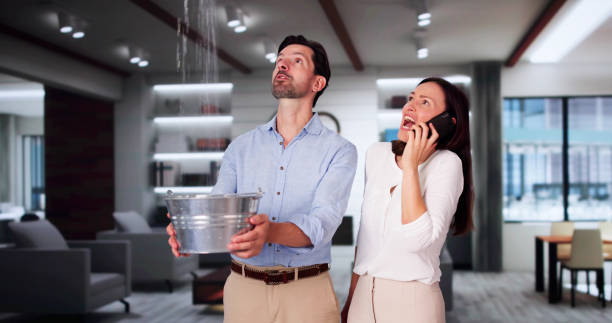 Best Local water damage restoration  in Butler, GA