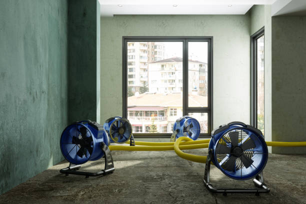 Best Water damage restoration near me  in Butler, GA